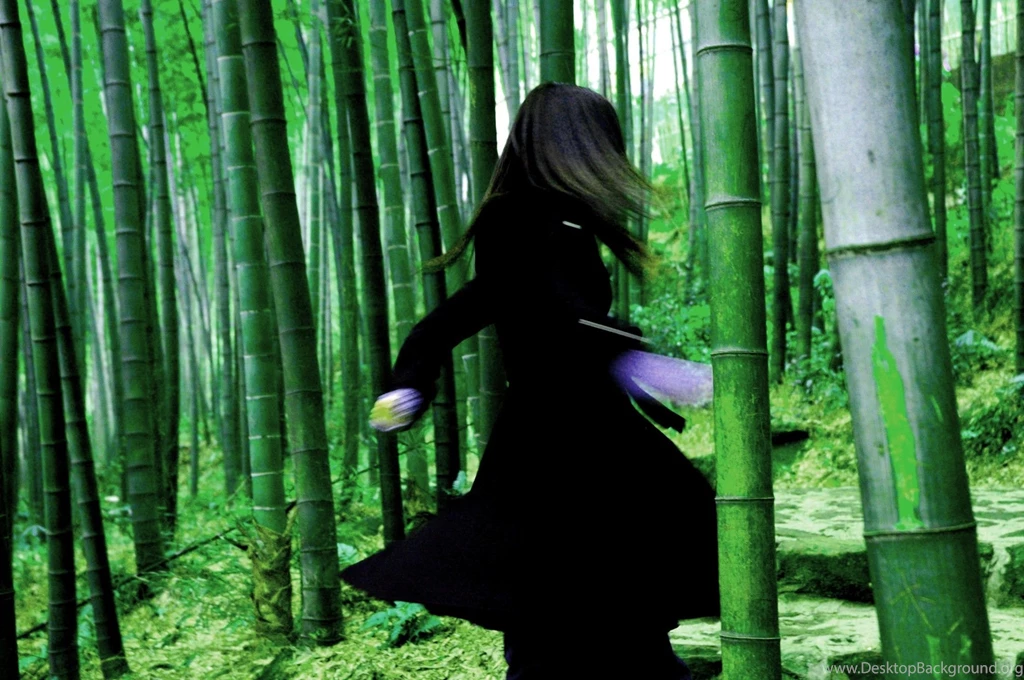 Movies: HOUSE FLYING DAGGERS Fantasy Drama Asian Martial Arts 22 ...