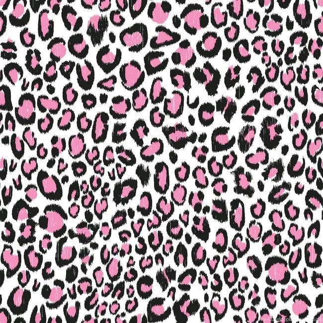 KS2303 Cool Kids Multi Color Leopard Wallpapers By York