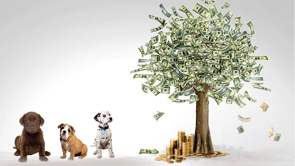 Money Wallpapers >> Backgrounds With Quality HD