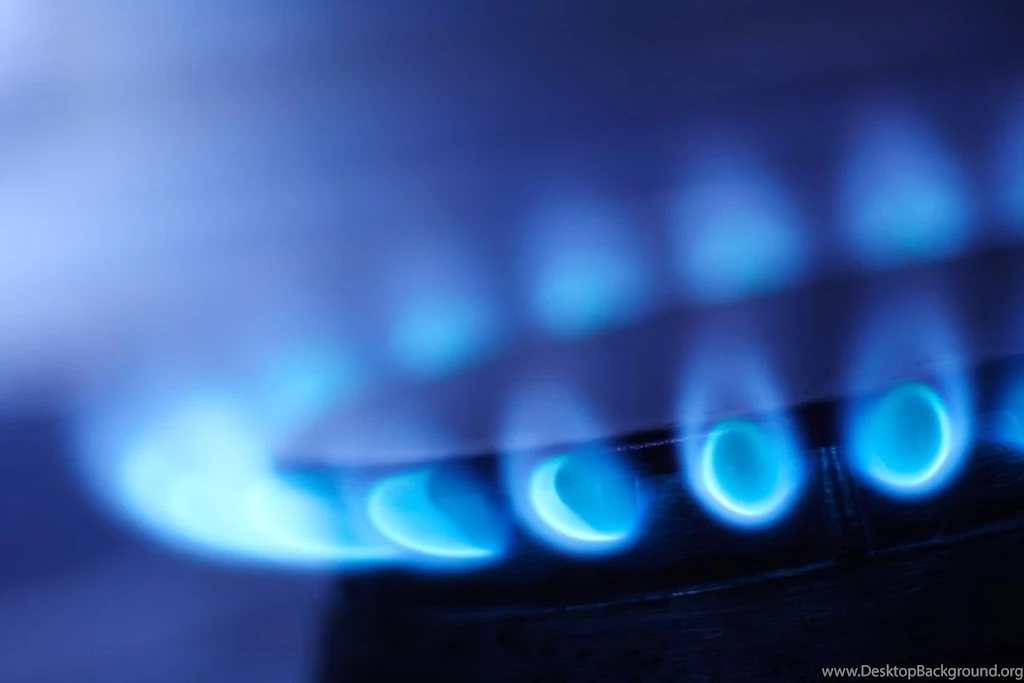 Blue Flame 17203 Other Others