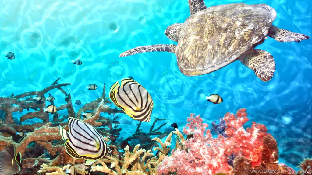 Live Wallpapers For Windows 7, 8, Vista, XP