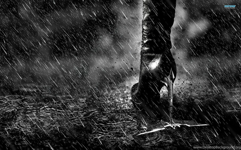 The dark knight rises 14336 1920x1200.jpg