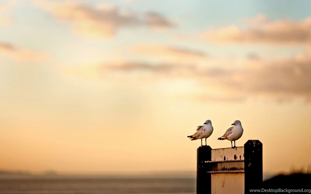 Tumblr Wallpapers Hd Staye008