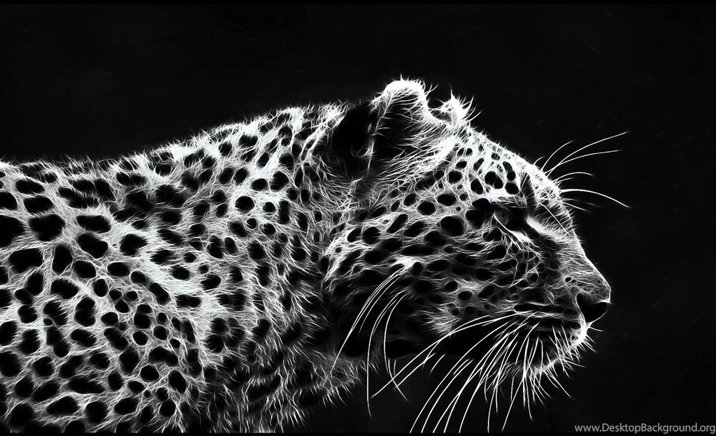 Best HD Wallpapers