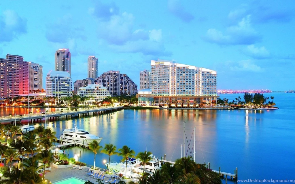 Miami wallpaper hd tumblr.jpg
