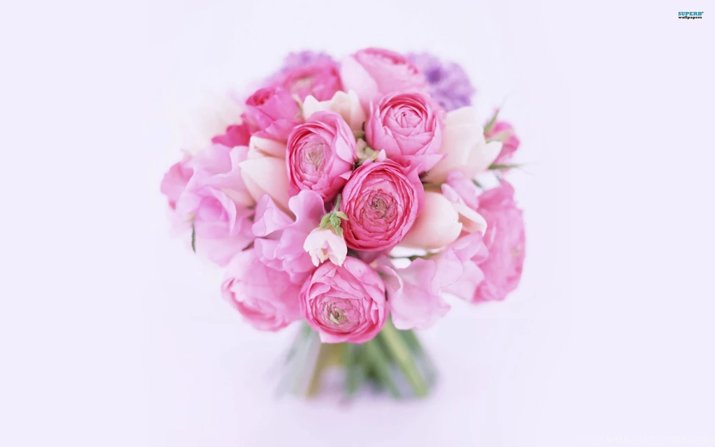 Peonies Wallpapers Flower Wallpapers