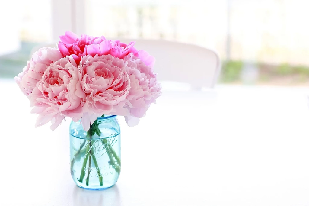 Peonies Wallpapers Wallpapedia