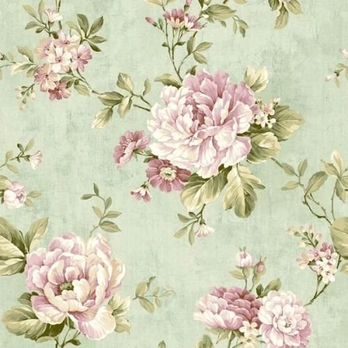 Peony Wallpapers