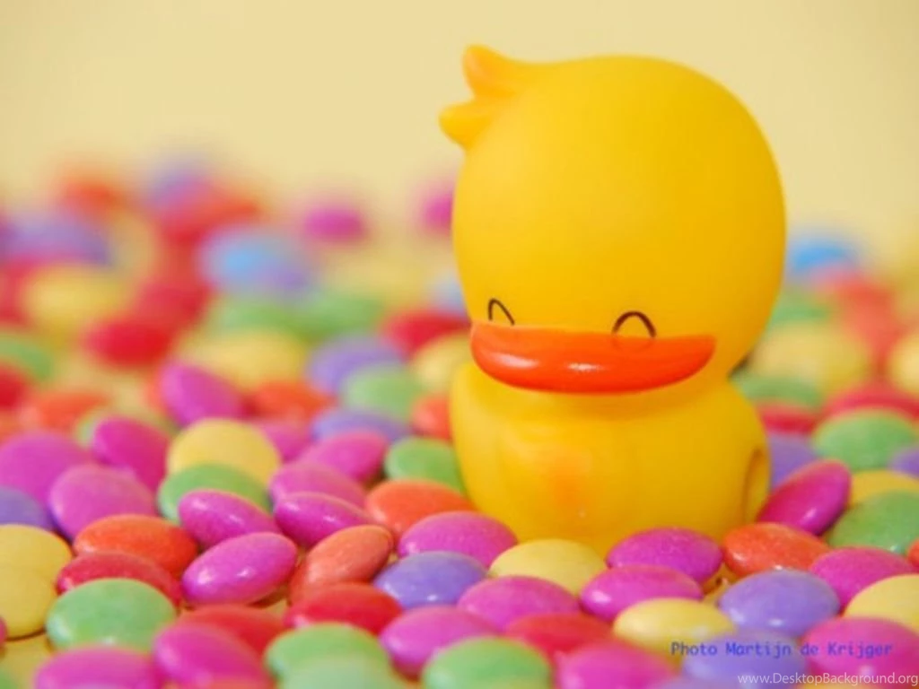 Ducks Nail Art