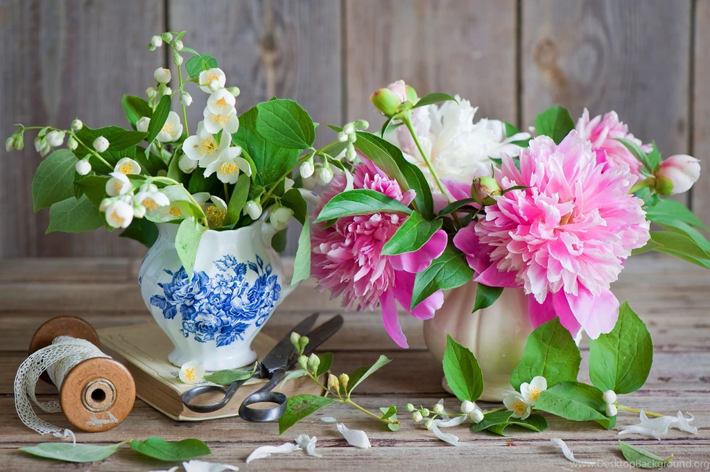 Jasmine Peony Wallpapers