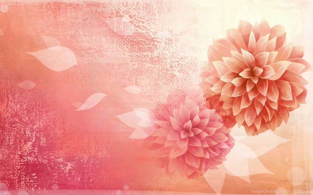 Peony" Wallpapers HD Wallpapers 76902