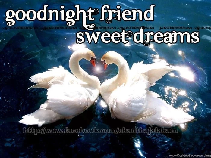 Lovely Quotes For You: Wishing U A Nice Dreamy Night New HD