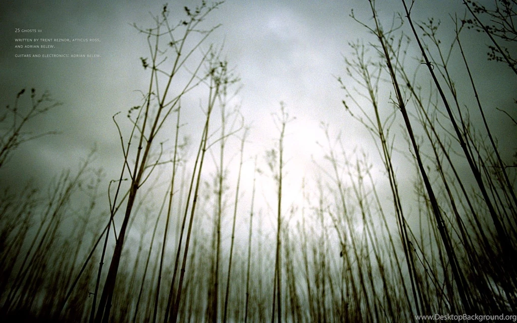 Nine Inch Nails Computer Wallpapers, Desktop Backgrounds ...