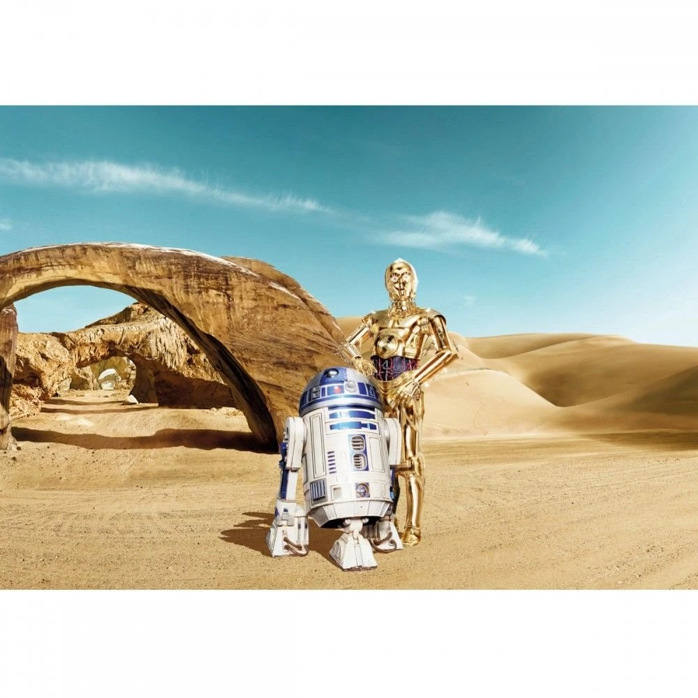 Star Wars R2D2 & C3PO Wallpapers 368 X 254 Cm