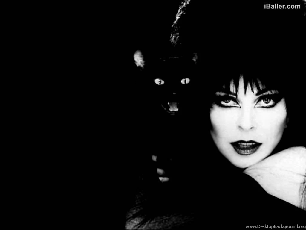Elvira Mistress Of The Dark Wallpapers Wallpapers Cave
