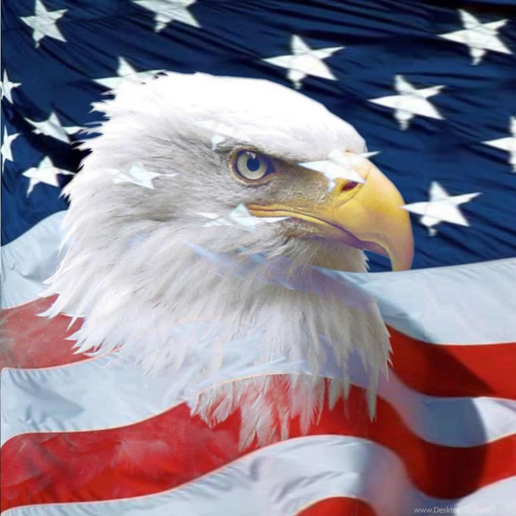 Desktop american flag bald eagle pictures.jpg