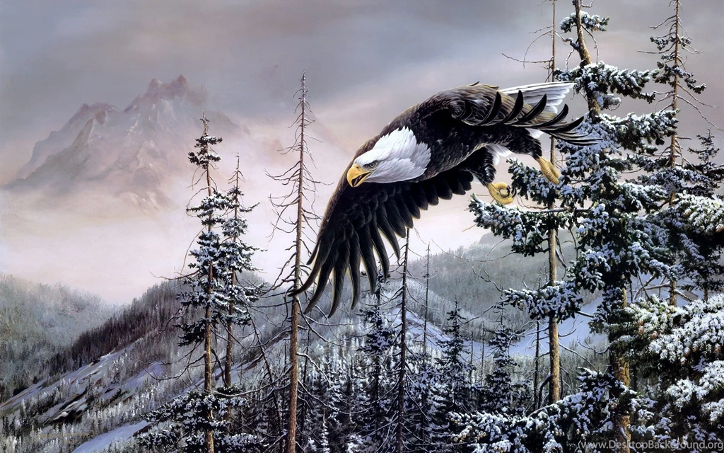 Bald Eagle Wallpapers