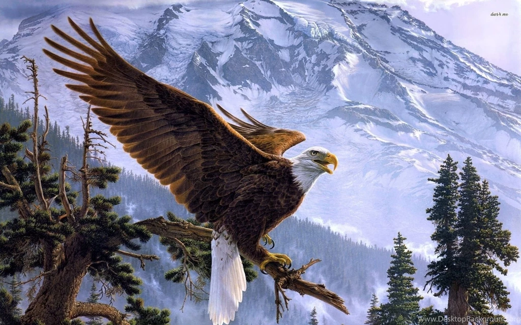 Eagle iPad Android HD Wallpapers / Wallpapers Eagle 6533 High ...