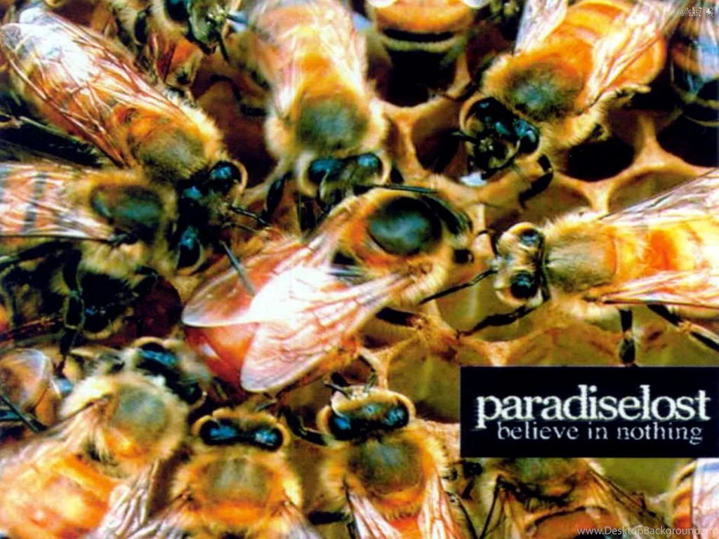 PARADISE LOST   BANDSWALLPAPERS