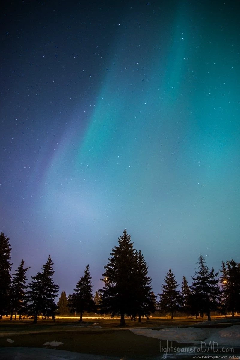 Free Cell Phone Backgrounds!   Lights, Camera, DAD!!