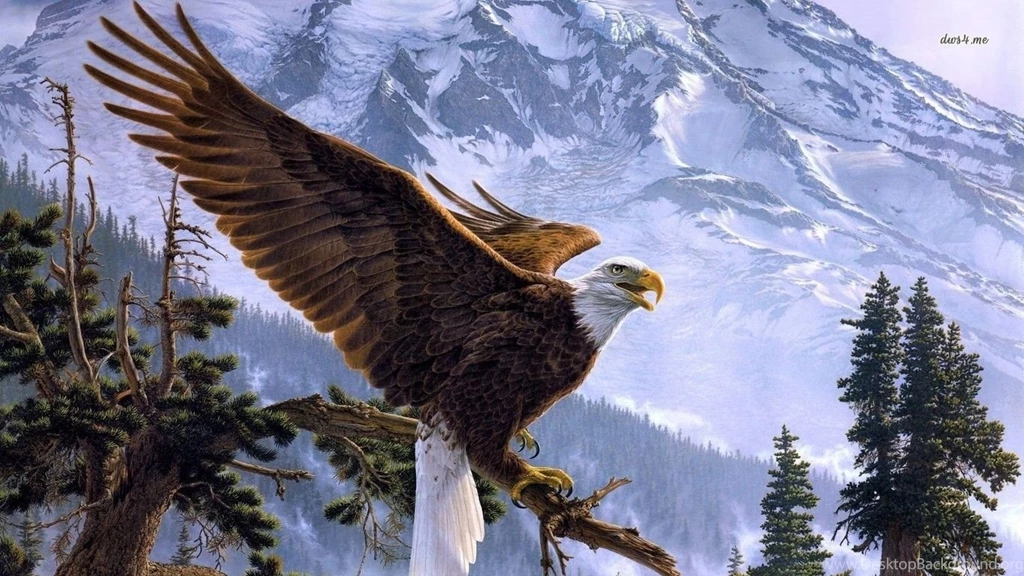High Definition Eagle Wallpapers For Free Download