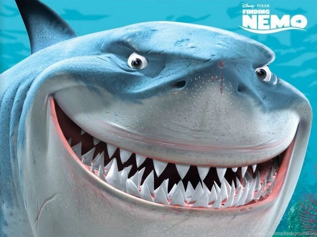 Finding Nemo, Bruce The Shark Wallpapers   Finding Nemo Wallpapers ...