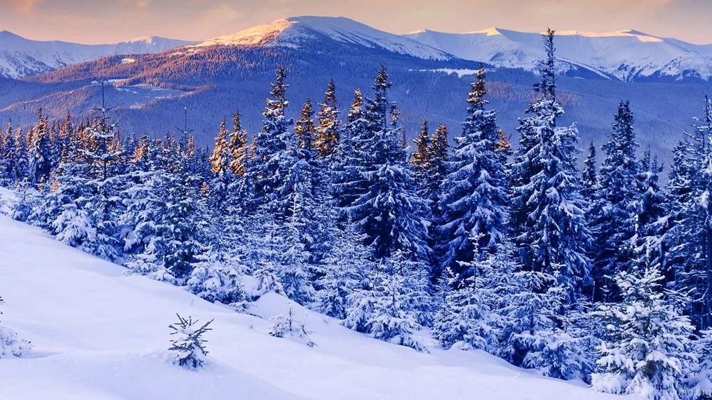 Hd 86094 Seasonal Wallpapers Landcapes HD Wallpaper Backgrounds