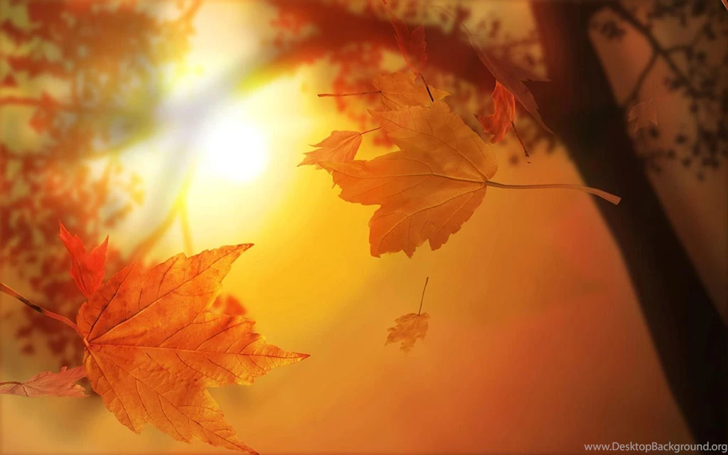 Seasonal Free Desktop Wallpapers