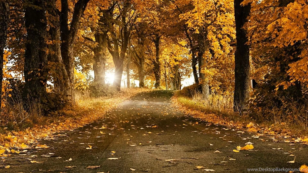 Seasonal Desktop Wallpapers Wallpapers Cave