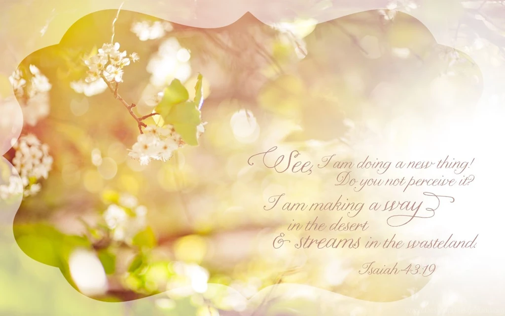 Free Spring Desktop Backgrounds — Lissa Anglin Photography