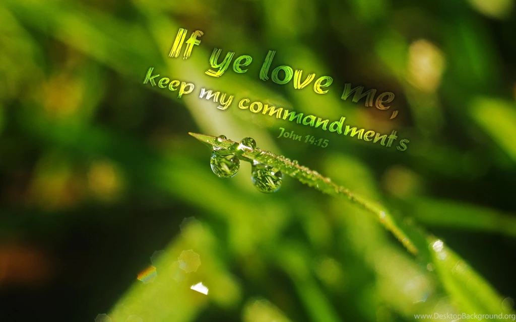 Free Bible Desktop Backgrounds Nature And Bible