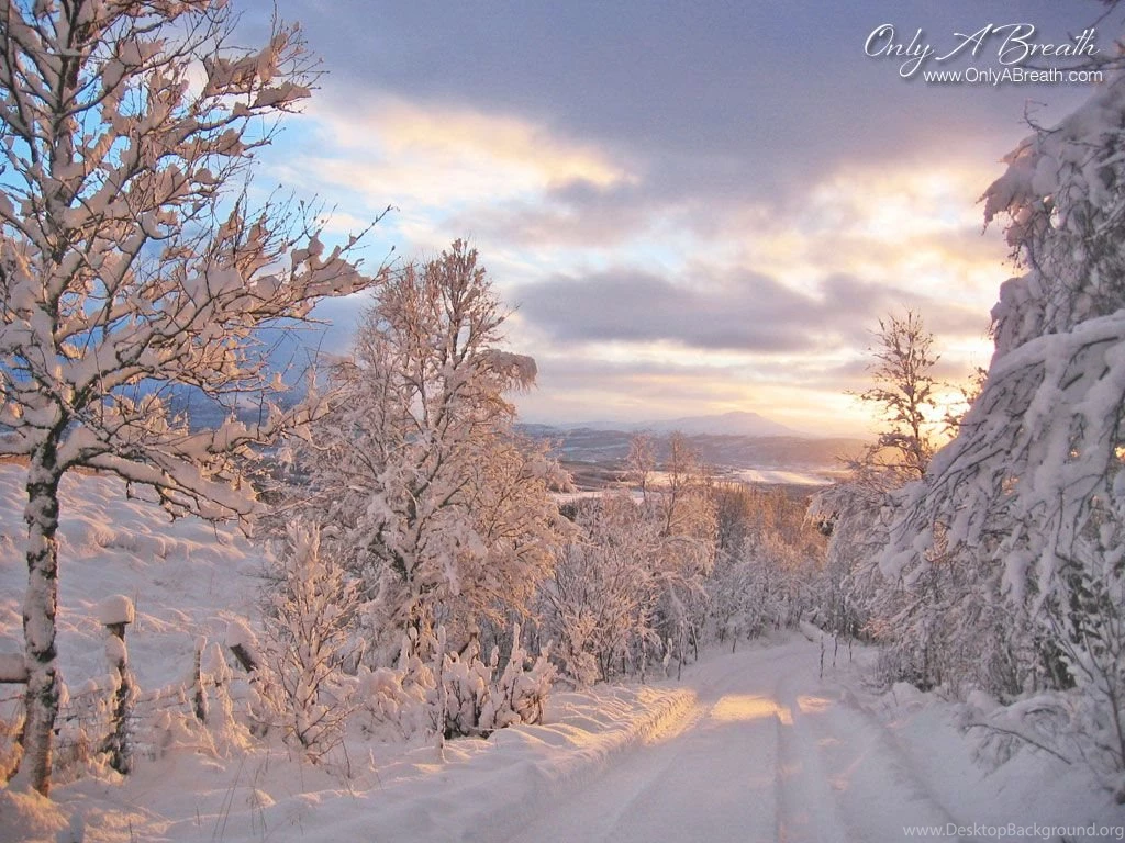 Bible Memory Verse Challenge (And FREE Desktop Wallpapers 3 ...