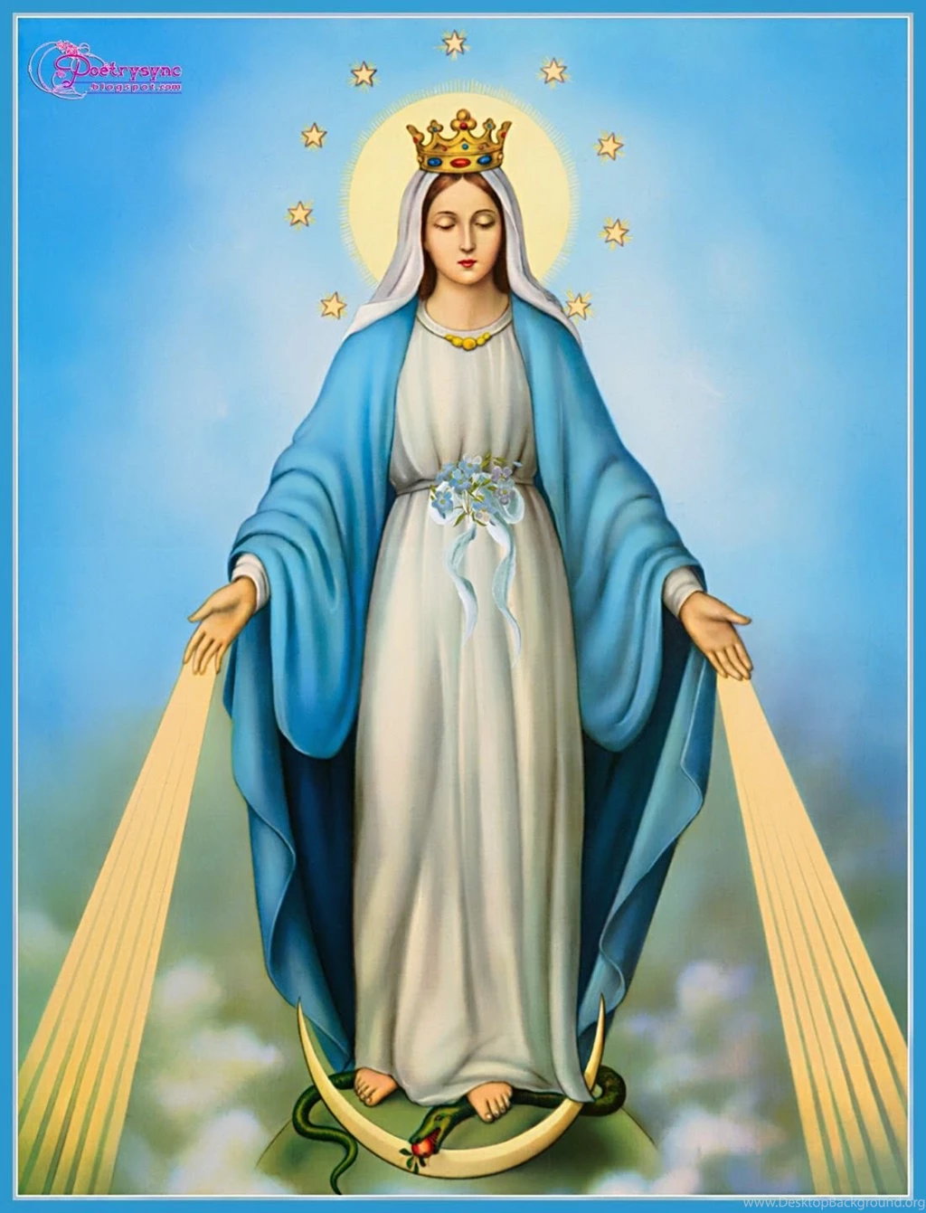 Merry Chrismast And Happy New Year: Feast Of The Immaculate ...