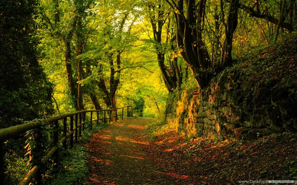 Landscapes Nature Wallpapers