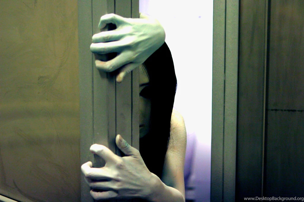 THE GRUDGE Horror Mystery Thriller Dark Movie Film The grudge Ju ...