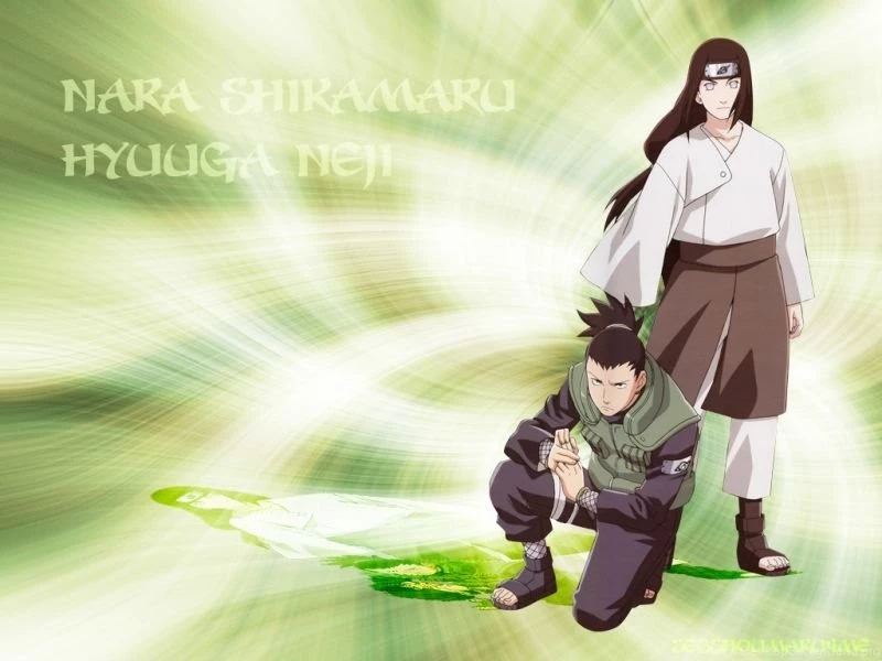 Shikamaru And Neji Shikamaru Wallpapers (36587539) Fanpop Page 5