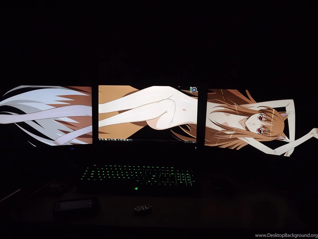 So I Was Starting To Lose Hope On Finding A Spice And Wolf ...