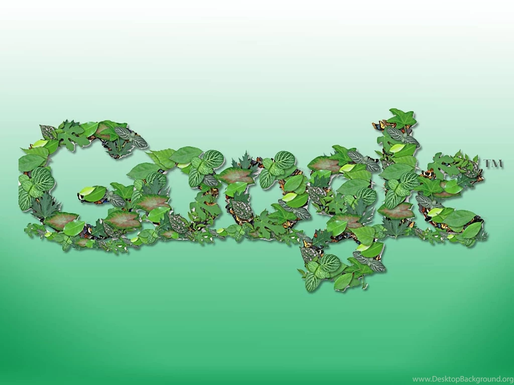 Free Google Backgrounds   Wallpapers Cave