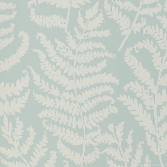 Wild Fern Wallpapers From Clarke & Clarke At Wallpapers Direct ...
