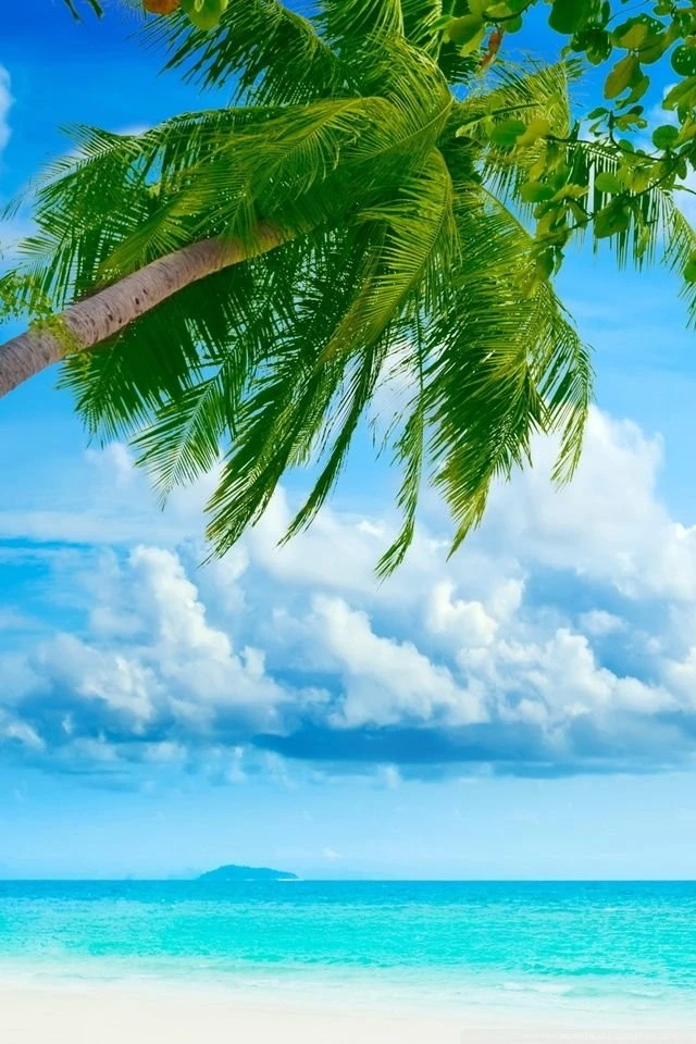 Tropical Beach Resorts HD Desktop Wallpapers : Widescreen : High ...