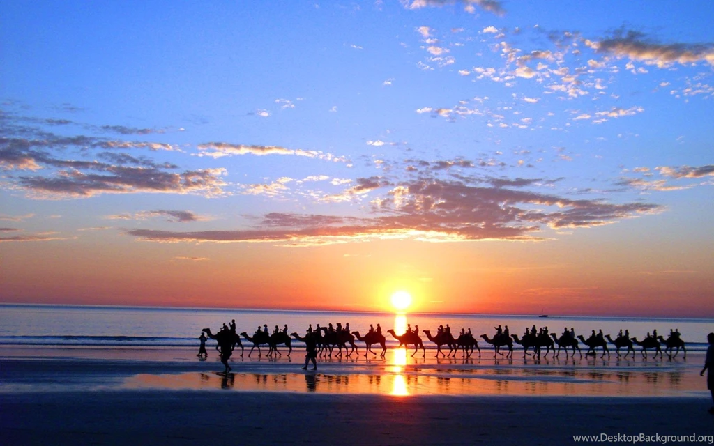 Cable Beach Bahamas Camel Silhouette   HD Wallpapers Rate