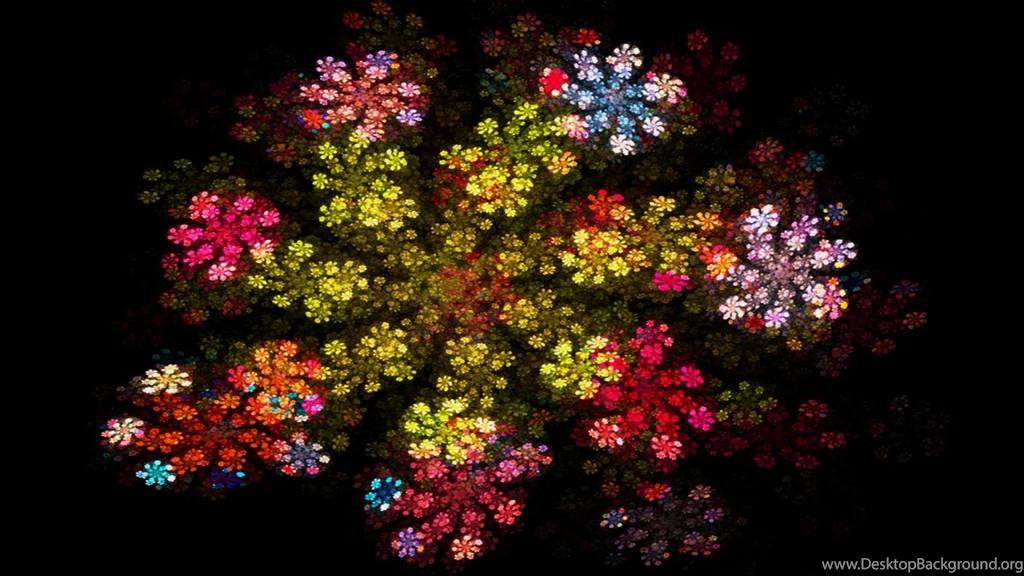 Gorgeous Flowers, Vector, 1920x1080 HD Wallpapers And FREE Stock Photo