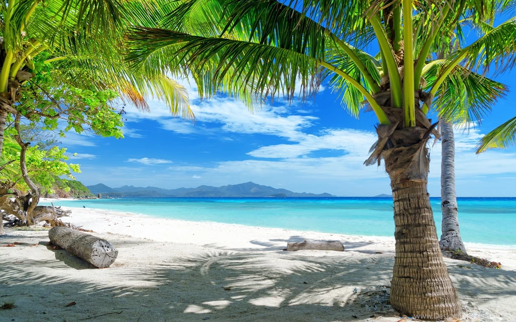 Download Tropical Beach Wallpapers Desktop
