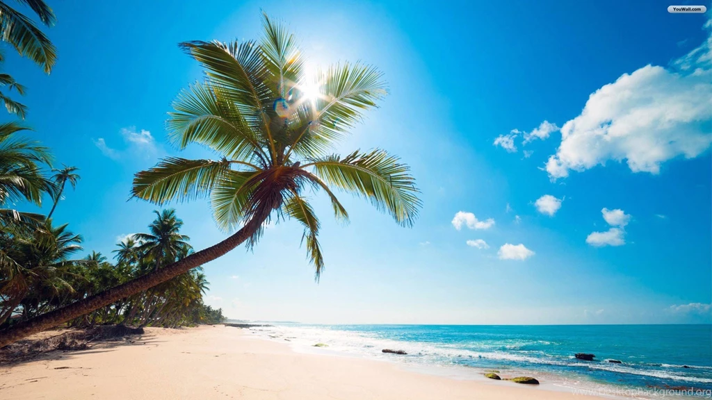 YouWall Sunny Tropical Beach Wallpapers Wallpaper,wallpapers ...