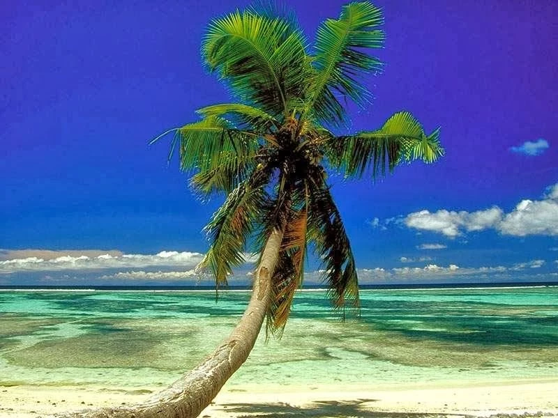 Beautiful Nature Images And Wallpapers: Tropical Beaches ...