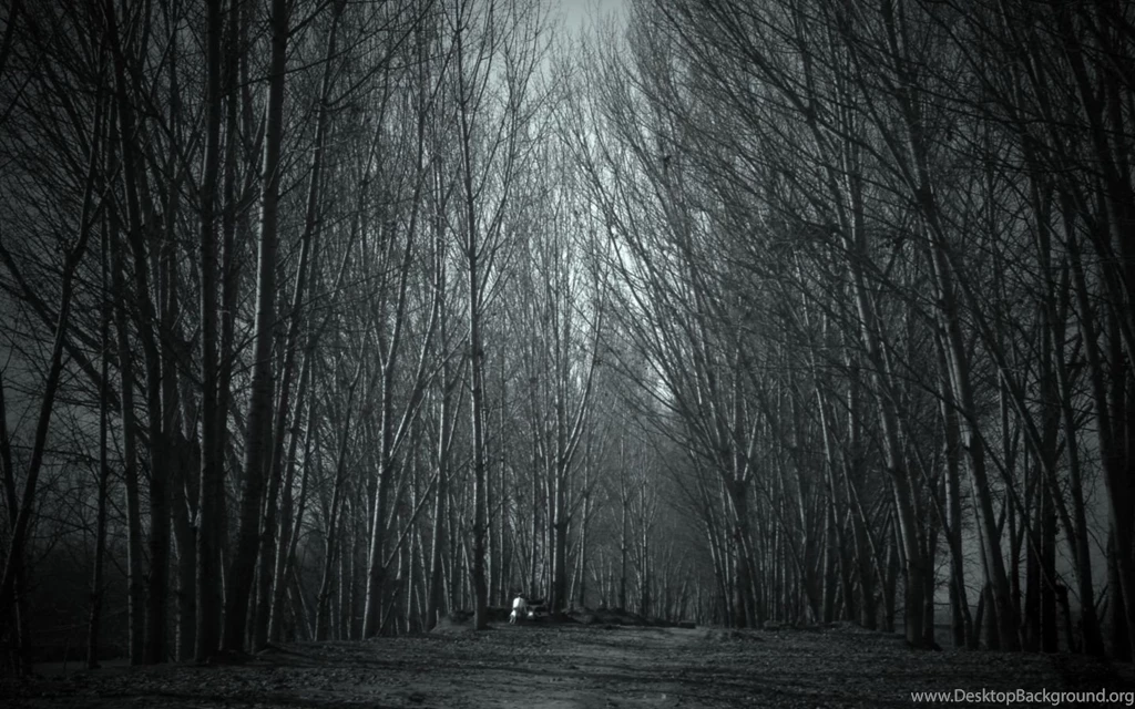 Haunted Forest Mac Wallpapers Download