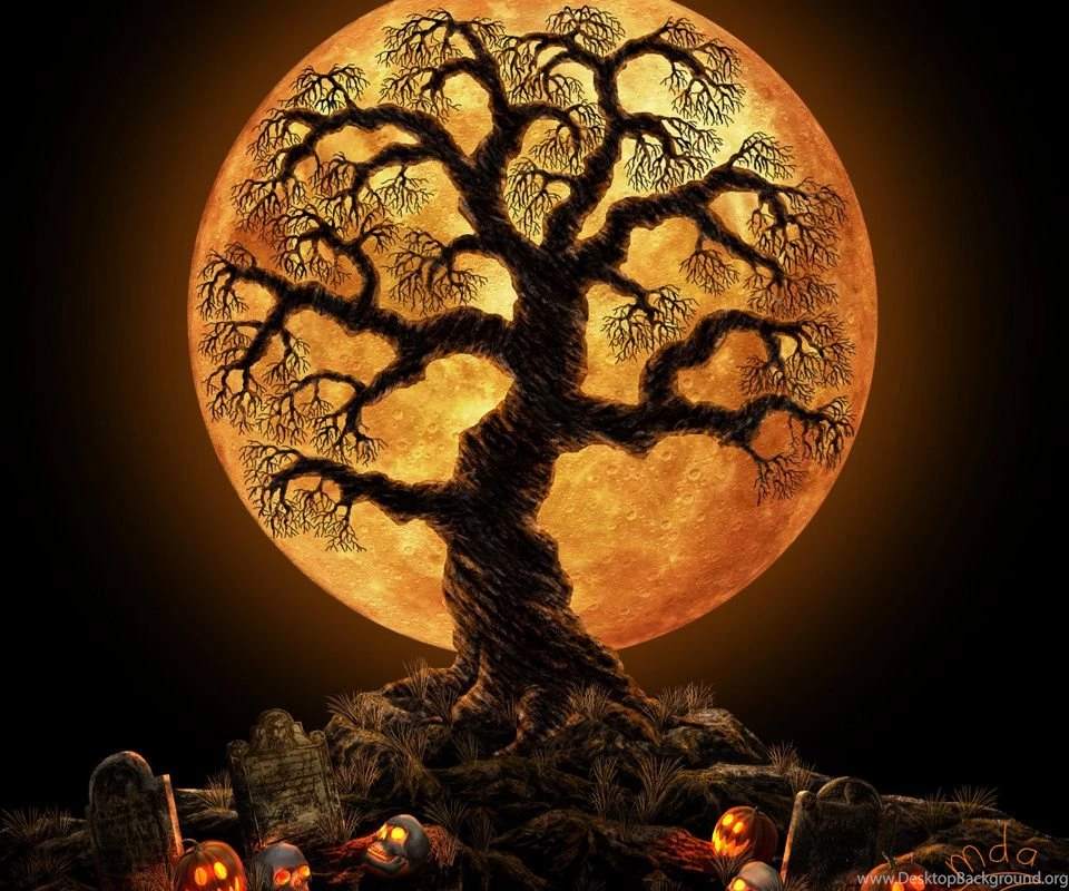 Halloween Tree Galaxy S2 Wallpapers (960x800)