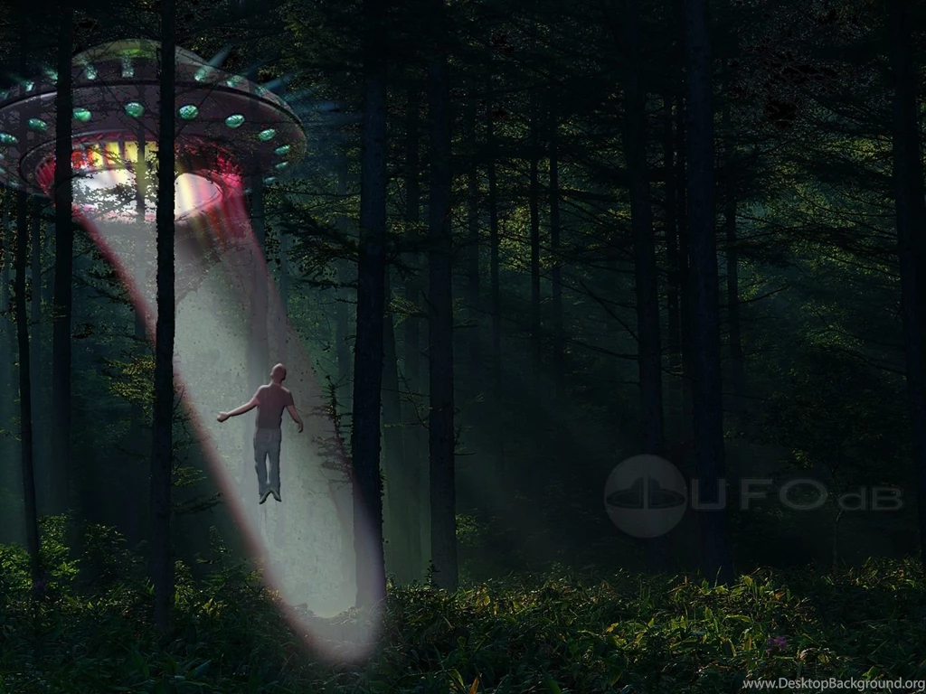 UFOdB.com Free UFO Wallpapers   Aliens Abductions   Deep Forest ...