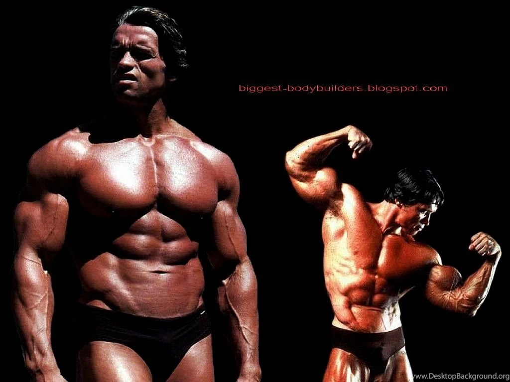 Biggest Body Builders: Arnold Schwarzenegger Wallpapers Hd