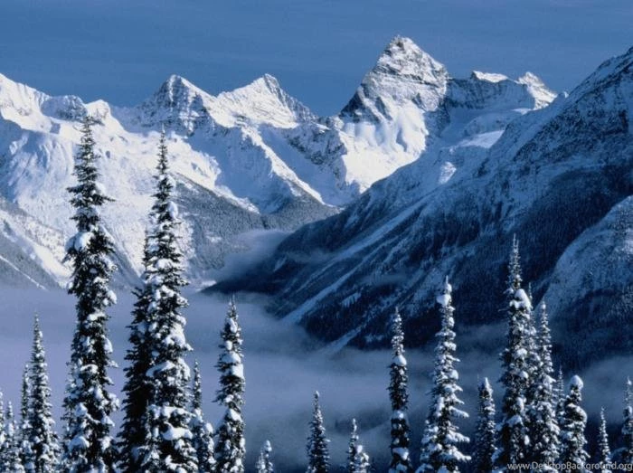 Windows Vista Starter Wallpapers Download